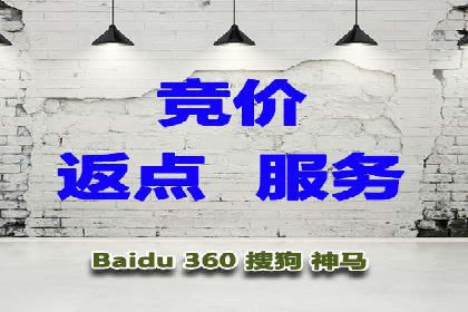渠道营销新趋势：返点政策下的成功实践