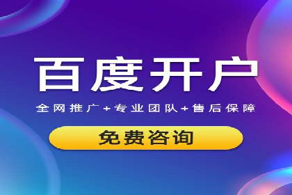 百度竞价公司成功案例：如何实现ROI最大化